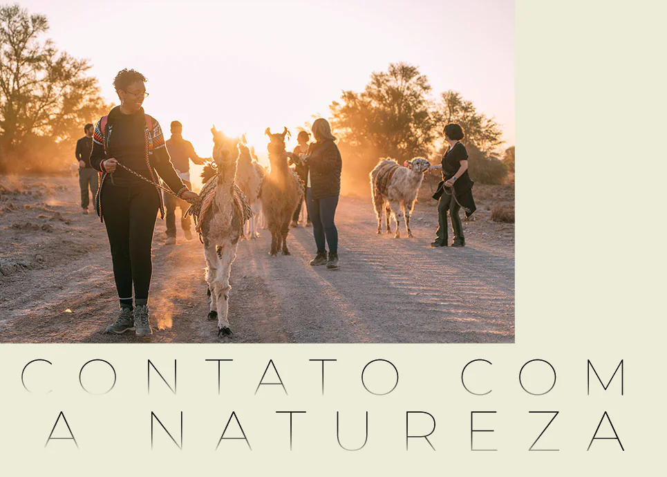 Natureza Andina